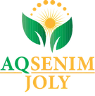 "AQSENIM JOLY" ЖШС